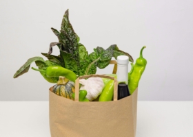 Как экспортировать продукты в Китай: ключевые требования